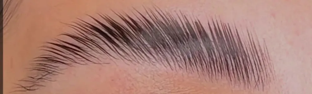 Brow after lamination: hairs brushed up and set