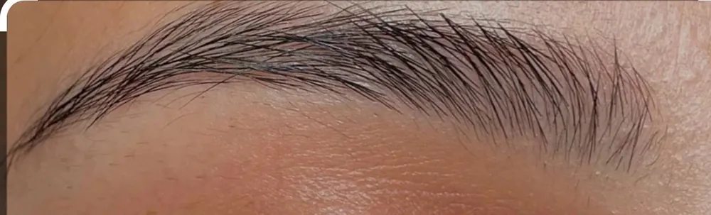Brow before lamination: hairs lying flat in different directions