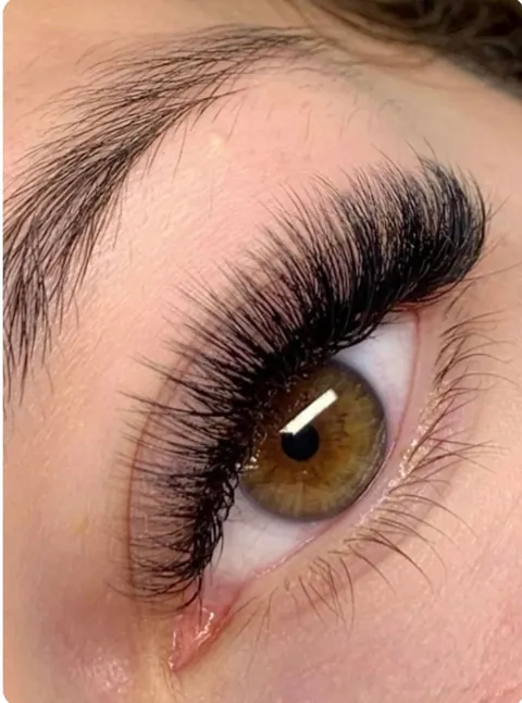 A finished set of eyelash extensions on a hazel eye